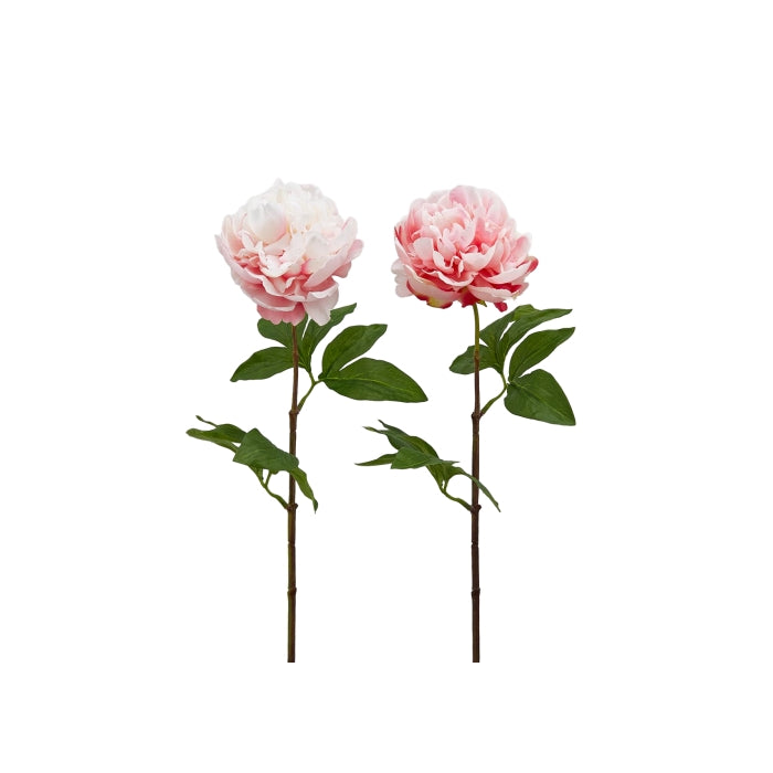 Ramo artificiale di peonia 65 cm - EDG - 34264515936472
