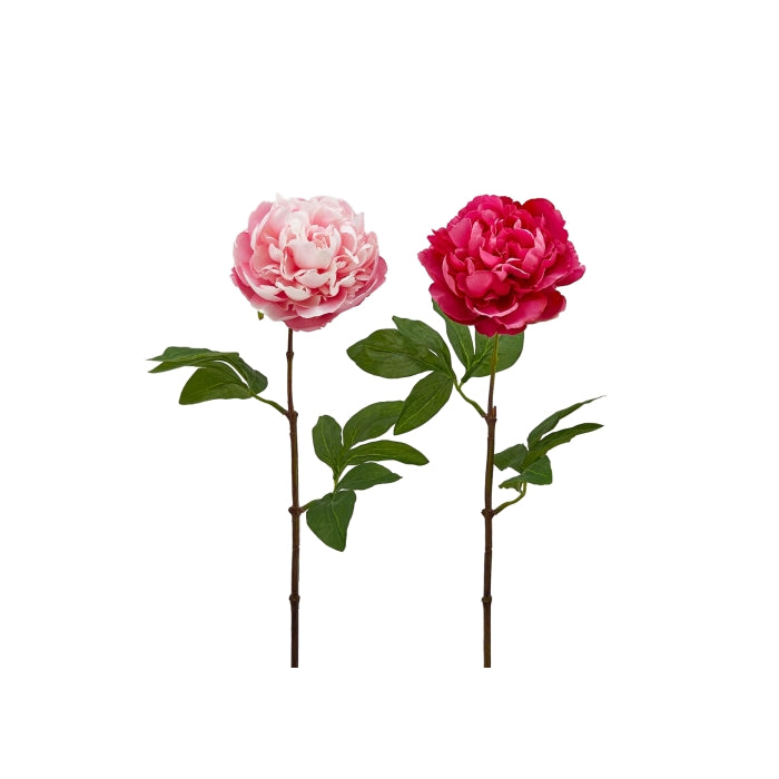 Ramo artificiale di peonia 65 cm - EDG - 34267736867032