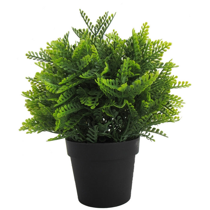 Piantina artificiale simil felce - VERDELOOK - 34278286328024
