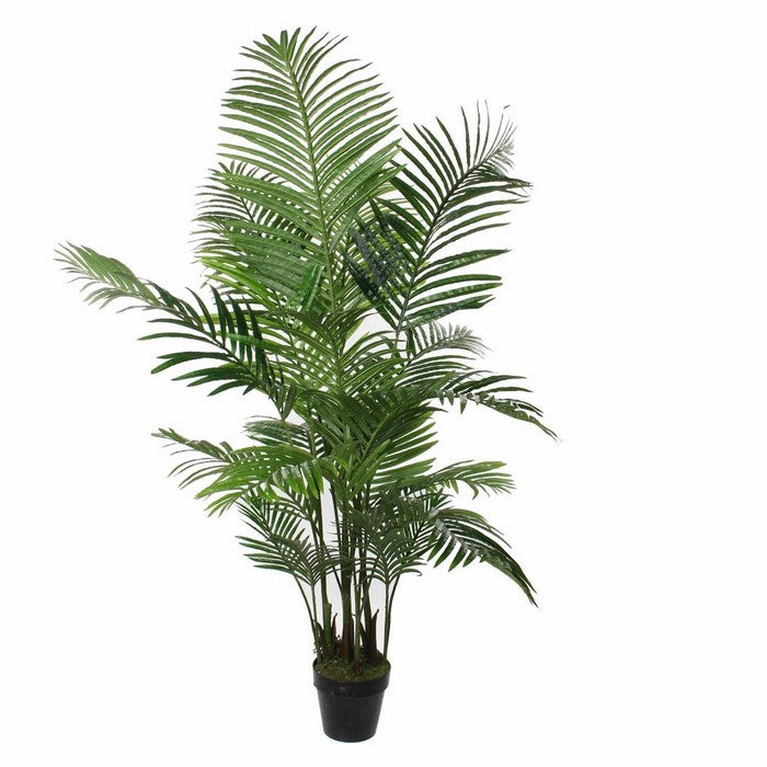 Palma artificiale in vaso verde 160 cm - Areca - EDELMAN - 34279854768344