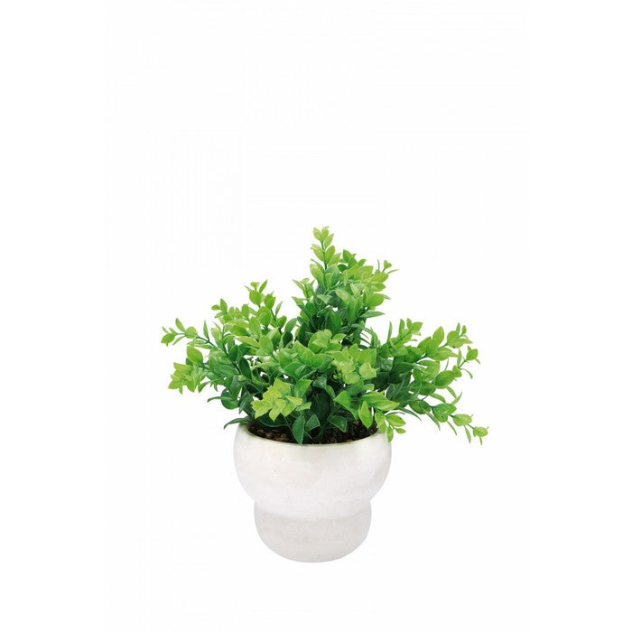 Vaso bianco con piantina artificiale 31 cm - AD TREND - 63845871649146