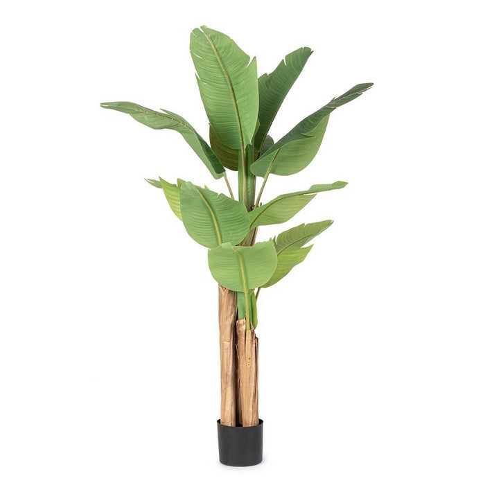 Pianta artificiale di banano con vaso 150 cm - BIZZOTTO - 66149306761594