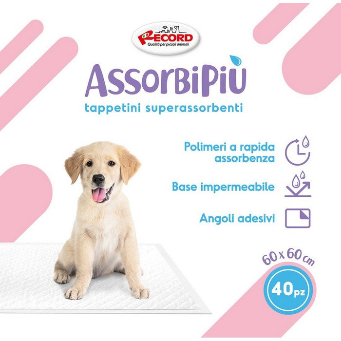Tappetini assorbenti 60x60 cm - Assorbipiù - RECORD - 64428916605306