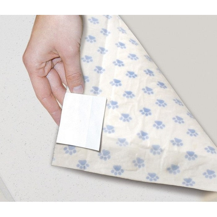 Tappetini assorbenti 60x60 cm con carbone attivo - Assorbipiù - RECORD - 64428990955898