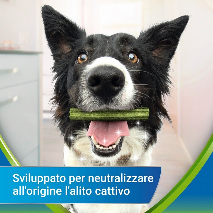 Purina Dentalife Active Fresh Snack igiene orale cane Small 115g - PURINA - 66185975300474