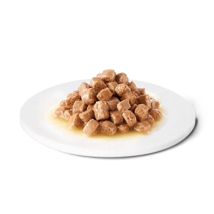 Advance Veterinary Diets Feline Renal 85g - ADVANCE - 64761688555898