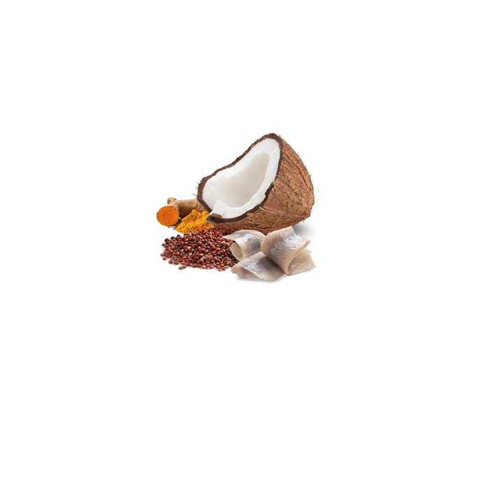 N&D Quinoa Cat Aringa e cocco Adult 70g