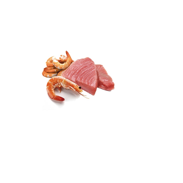 N&D Ocean Cat Tonno e gamberetti Adult 70g - FARMINA - 64826473578874