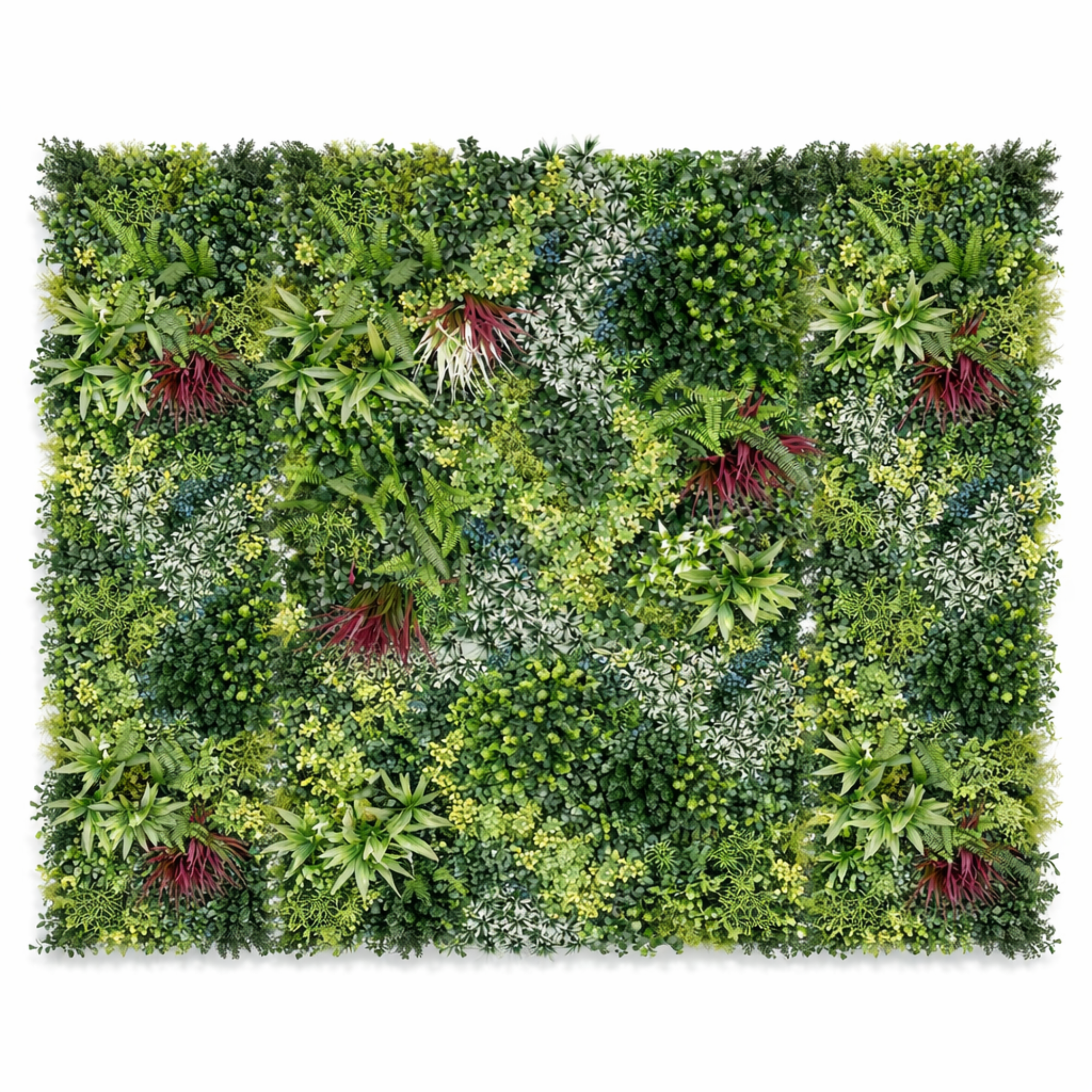 Parete con piante artificiali per giardino verticale 100x100 cm - Danube