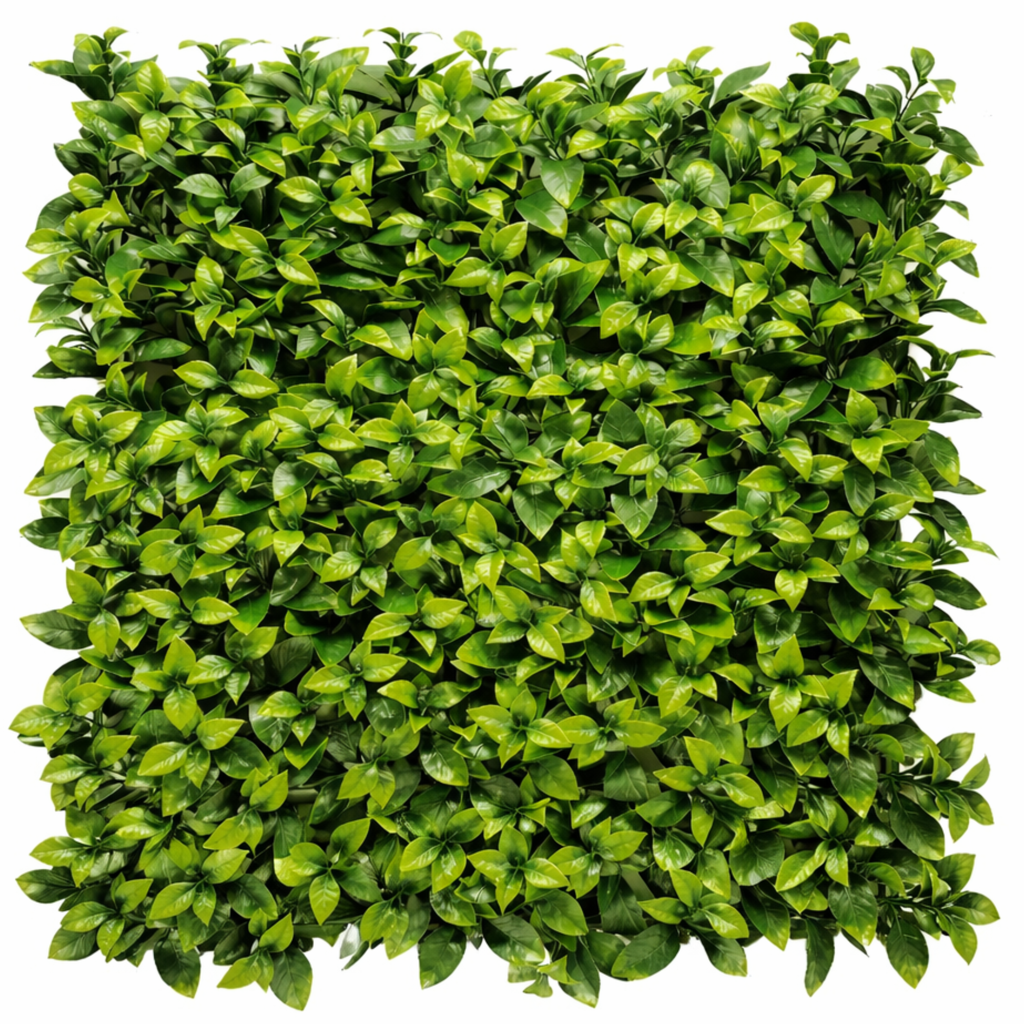 Parete con piante artificiali per giardino verticale 100x100 cm - Gardenia