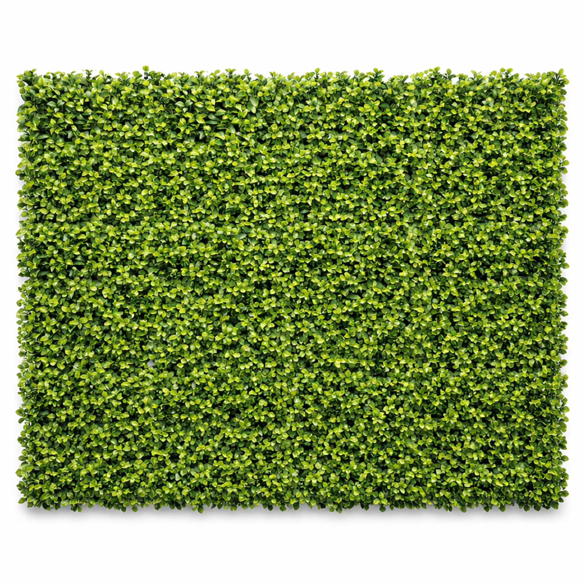 Parete con piante artificiali per giardino verticale 100x100 cm - Gardenia