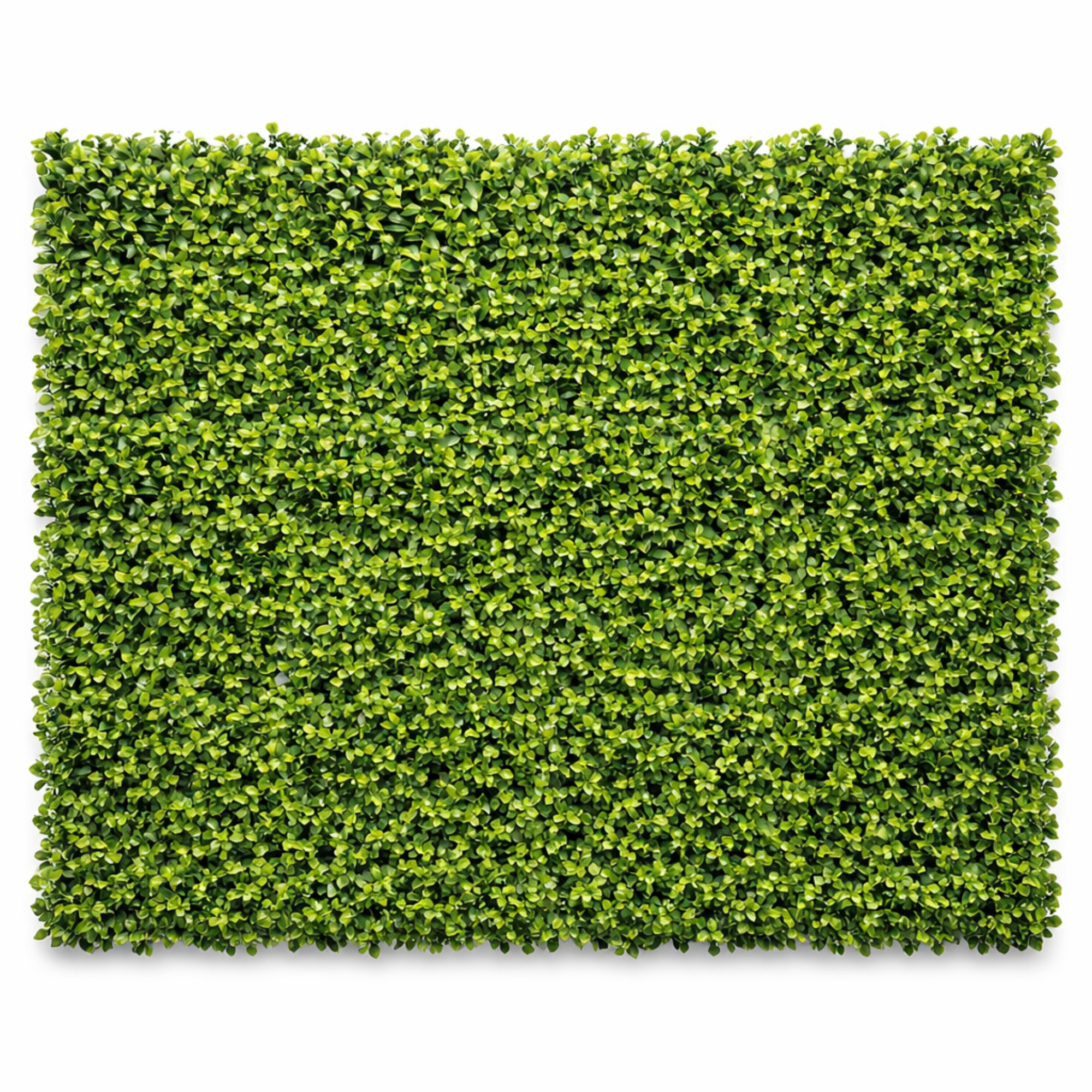 Parete con piante artificiali per giardino verticale 100x100 cm - Gardenia