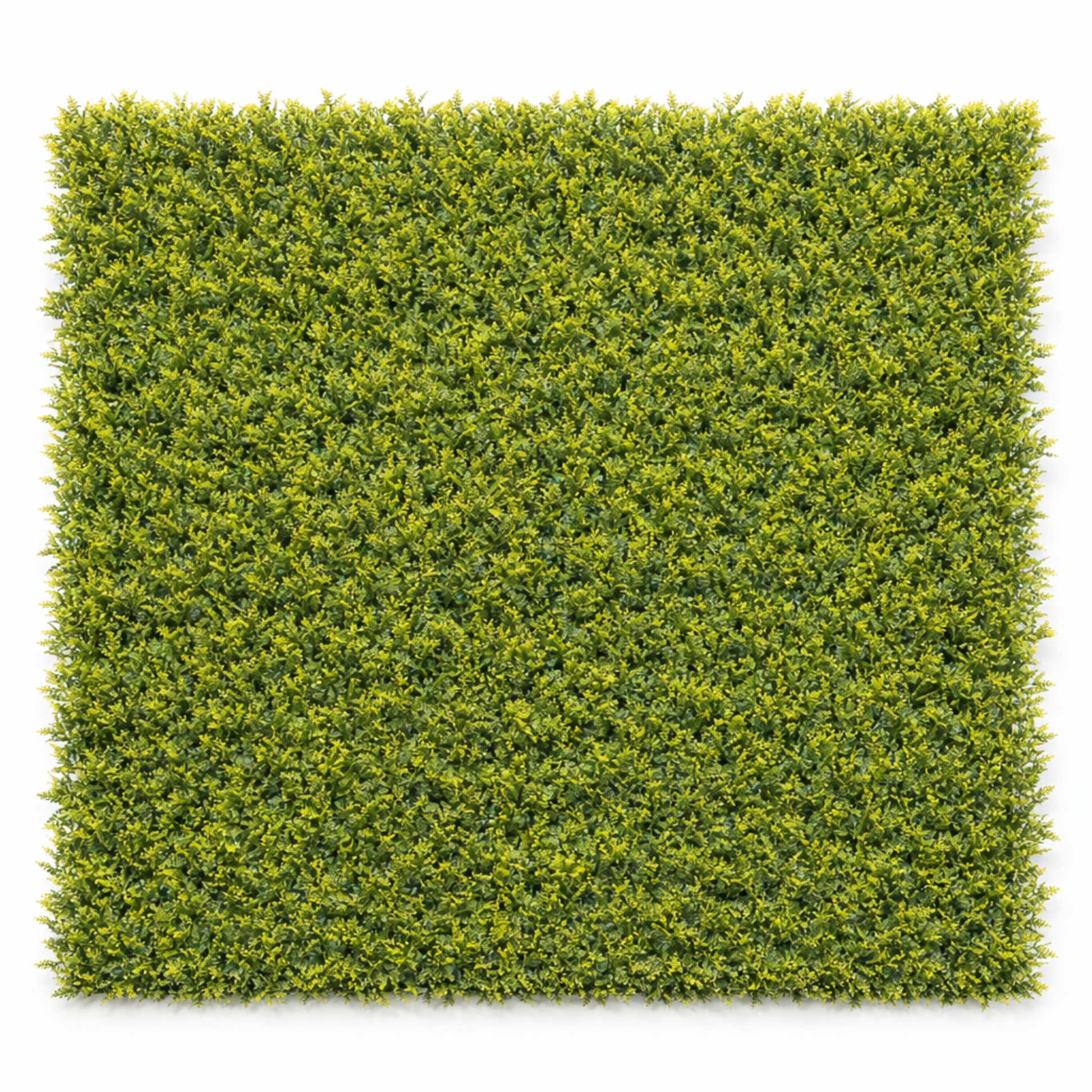 Parete con piante artificiali per giardino verticale 100x100 cm - Mimosa