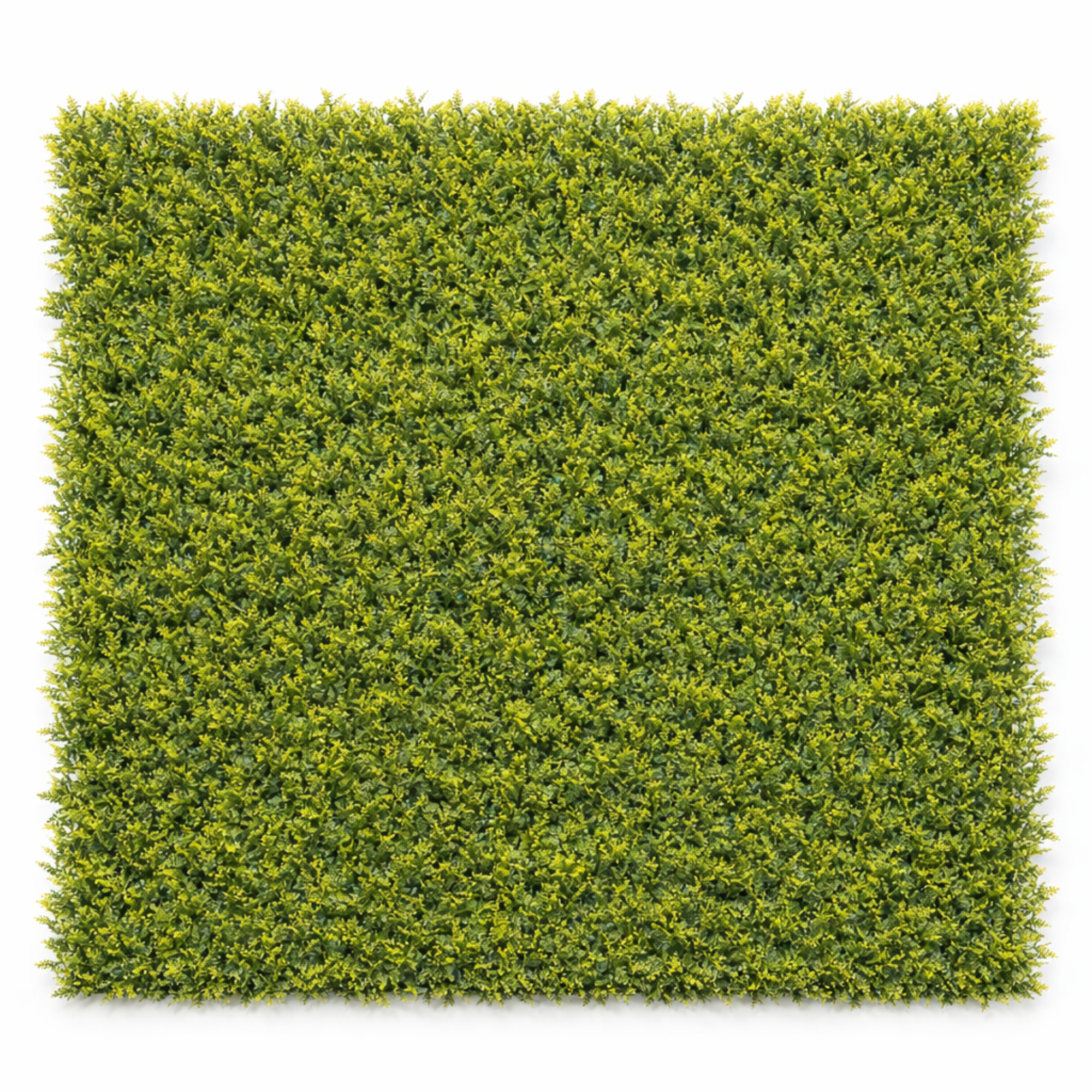 Parete con piante artificiali per giardino verticale 100x100 cm - Mimosa