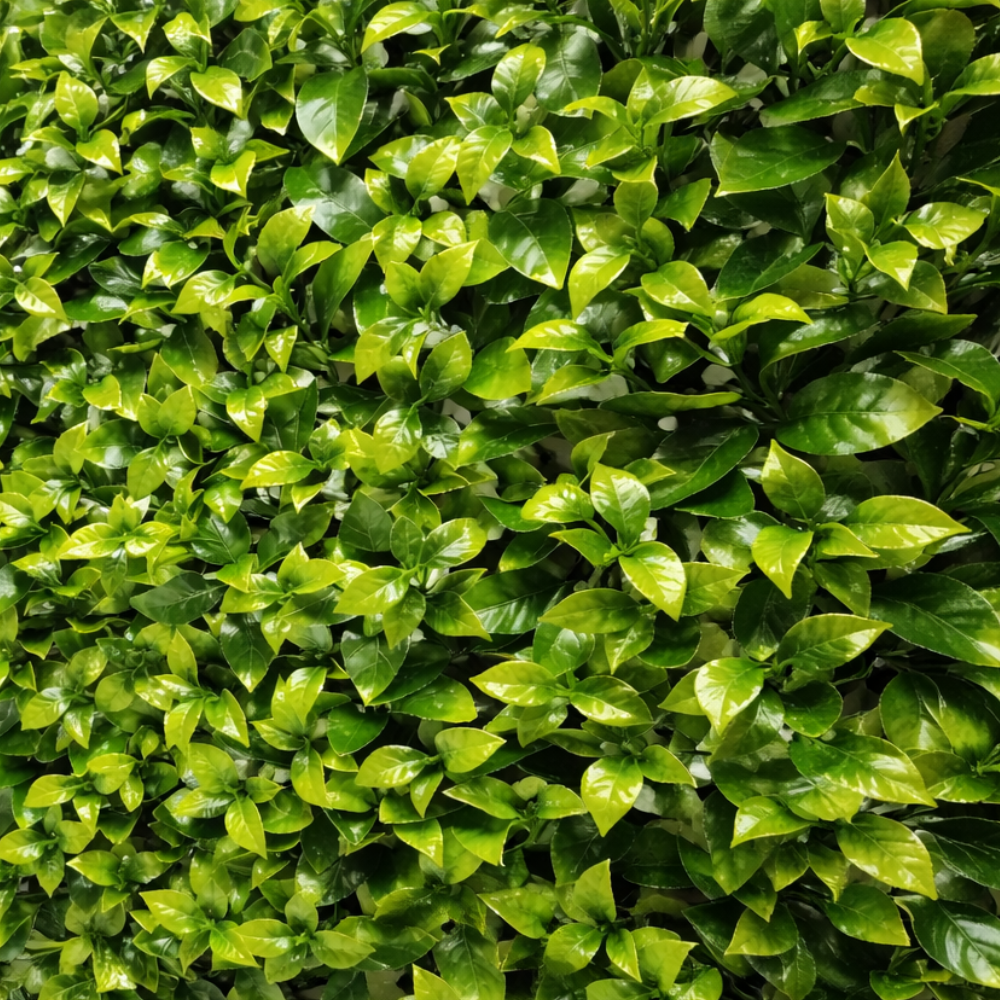 Parete con piante artificiali per giardino verticale 100x100 cm - Gardenia