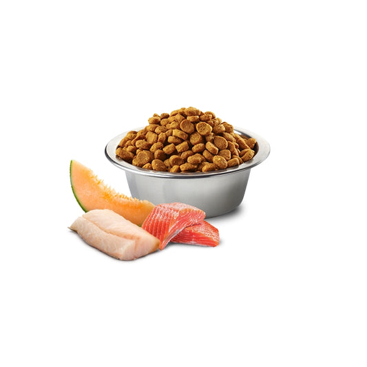 N&D Ocean Dog Salmone, merluzzo e cantalupo Adult Mini - FARMINA - 64826478887290