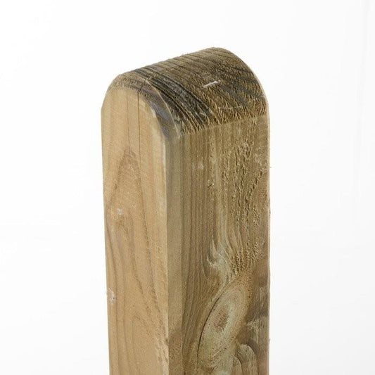 Piantone Maremma - VERDELOOK - 34318399996120