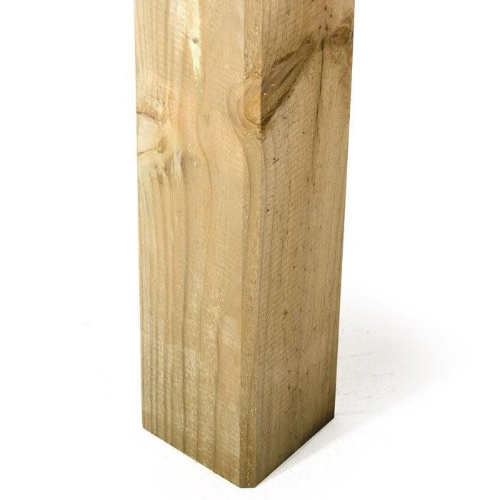 Piantone Maremma - VERDELOOK - 34318400127192