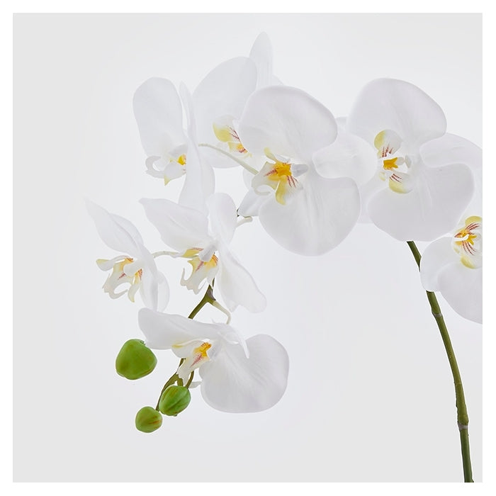 Ramo artificiale di orchidea