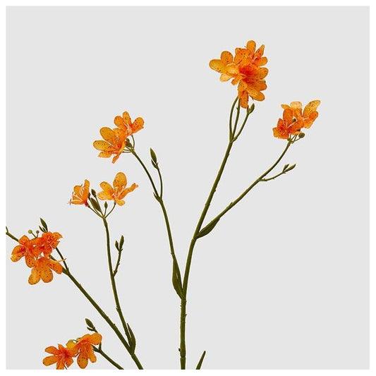 Ramo artificiale di belamcanda arancione 80 cm - EDG - 34264515248344