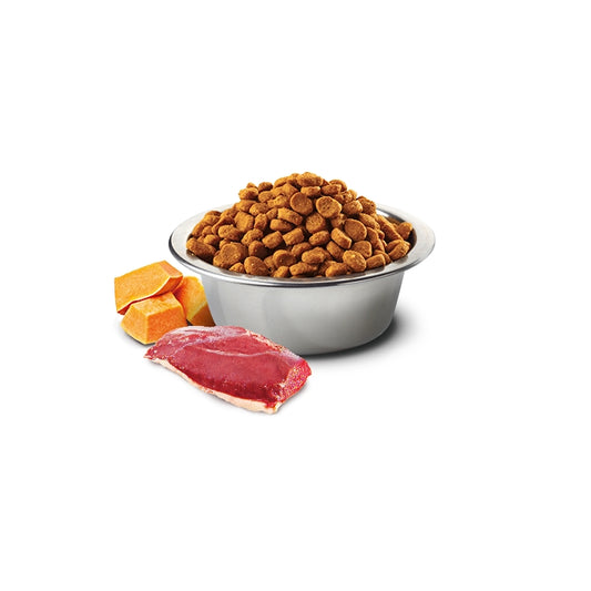 N&D Pumpkin Dog Anatra, zucca e cantalupo Adult Mini - FARMINA - 64826505691514