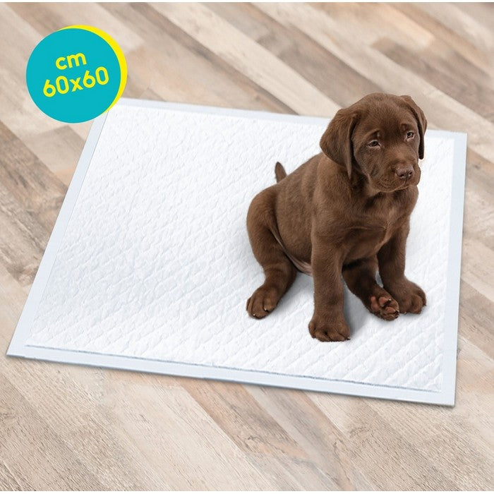 Tappetini assorbenti per cani 60x60 cm - Tapiss - RECORD - 64428686901626