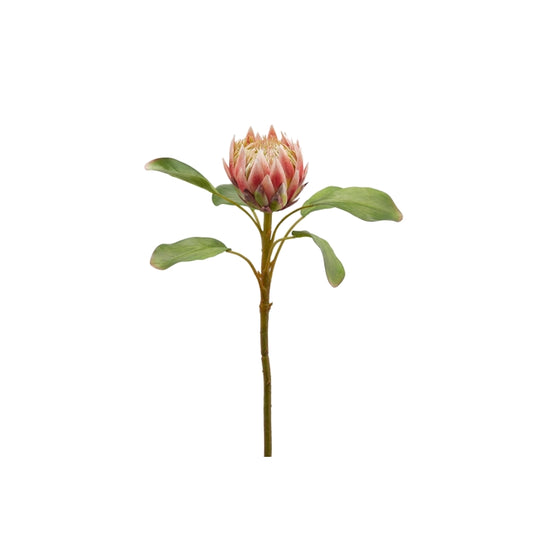 Ramo artificiale di protea - Duke - EDG - 34264530190552