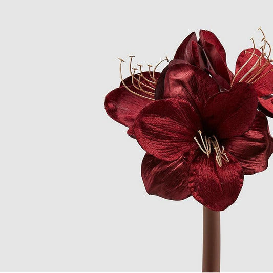 Ramo artificiale di amaryllis velluto - EDG - 34264431427800
