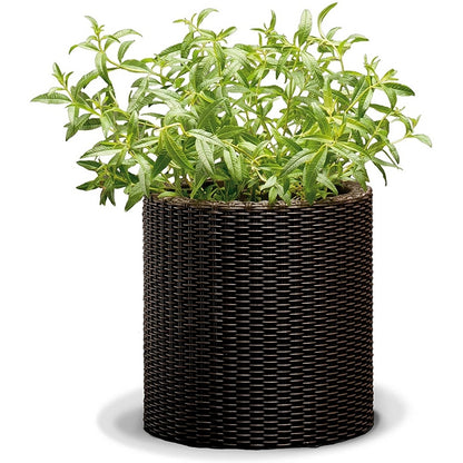 Vaso portapiante Cylinder Planter