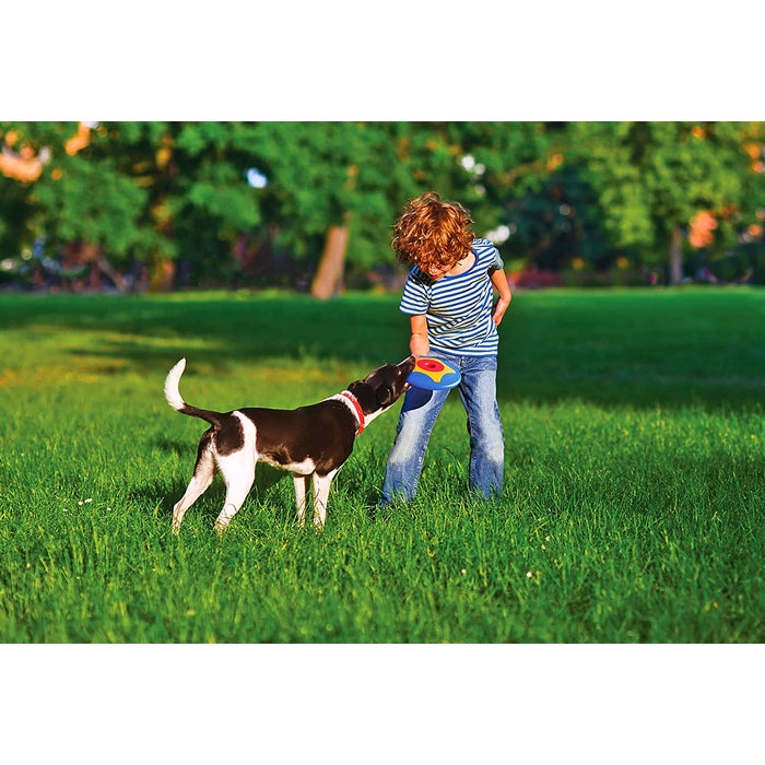 Trotto disk gioco per cani