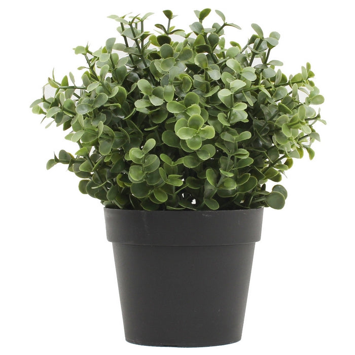 Piantina artificiale bosso verde chiaro-scuro - VERDELOOK - 34278286885080