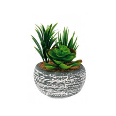 Vaso decorativo con piantine grasse artificiali