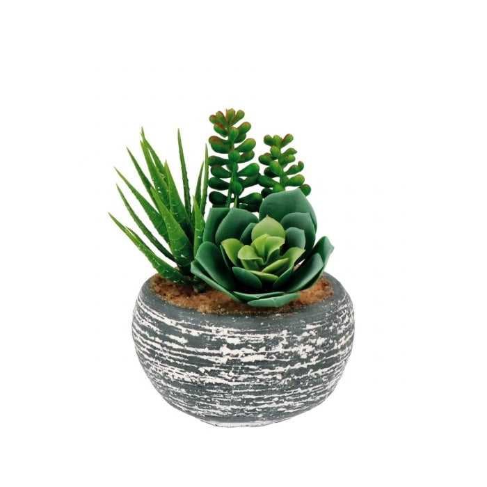 Vaso decorativo con piantine grasse artificiali