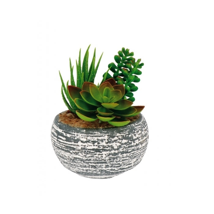 Vaso decorativo con piantine grasse artificiali