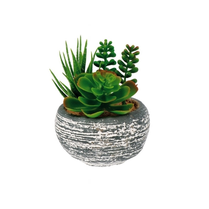 Vaso decorativo con piantine grasse artificiali