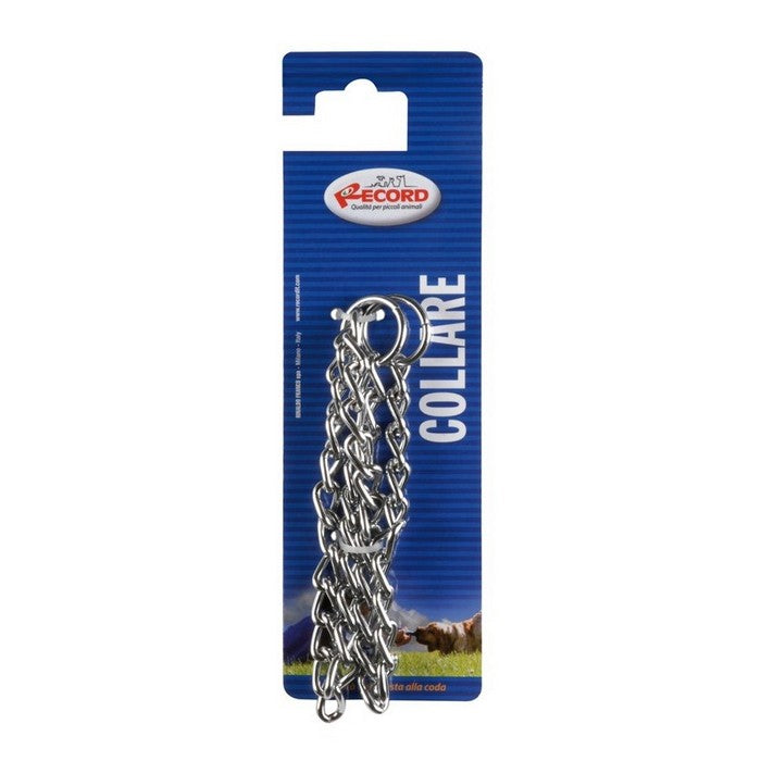 Collare per cani con catena a strozzo in acciaio
