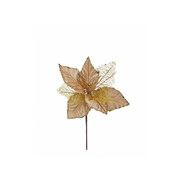 Fiore decorazione natalizia champagne