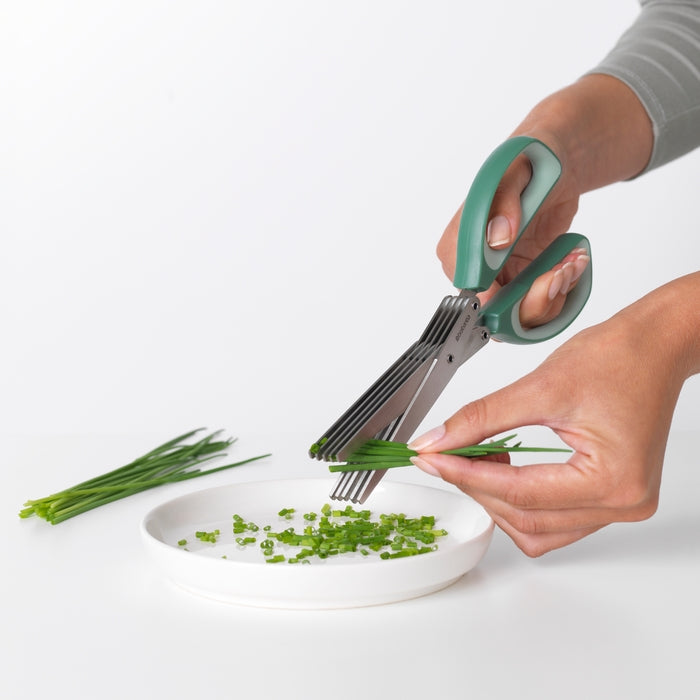 Forbici per erbe aromatiche in acciaio inossidabile