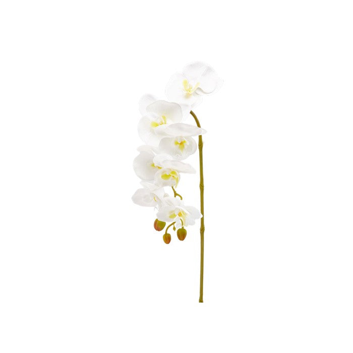 Ramo di orchidea artificiale Olis 3D 7 fiori - EDG - 34278919405784