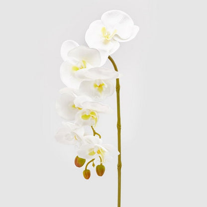 Ramo di orchidea artificiale Olis 3D 7 fiori