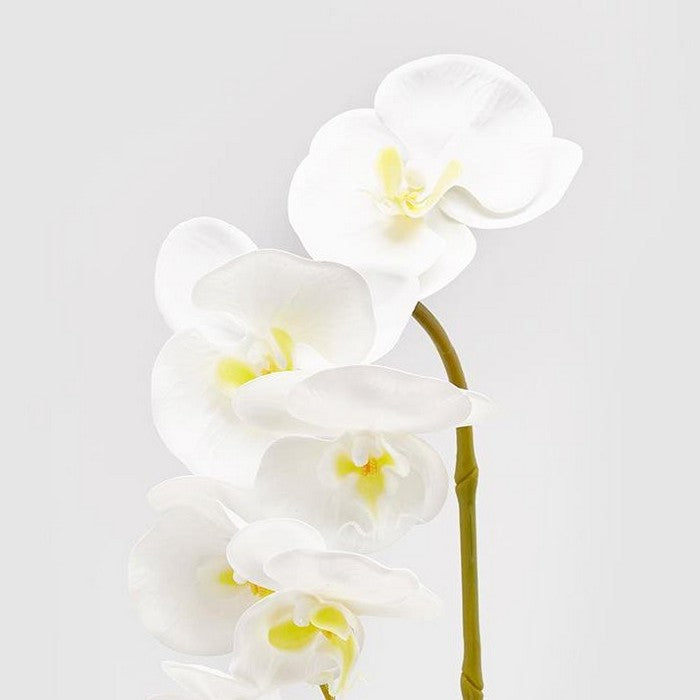 Ramo di orchidea artificiale Olis 3D 7 fiori - EDG - 34268824568024