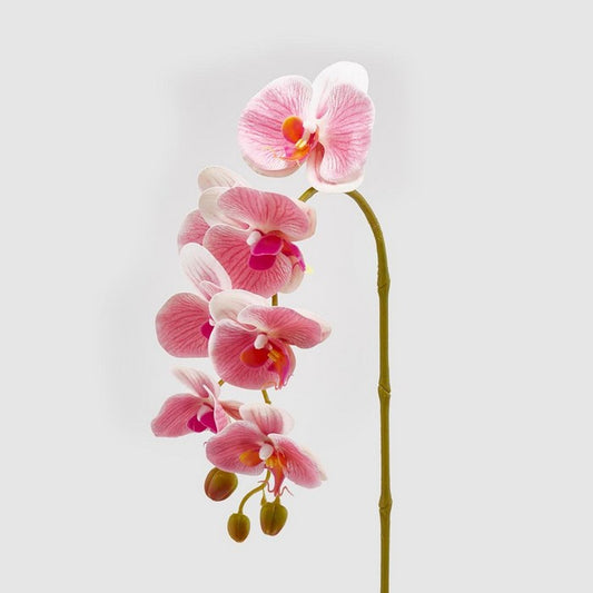 Ramo di orchidea artificiale Olis 3D 7 fiori - EDG - 34259958104280