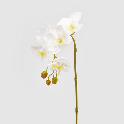 Ramo di orchidea artificiale Olis 3D 5 fiori 70 cm
