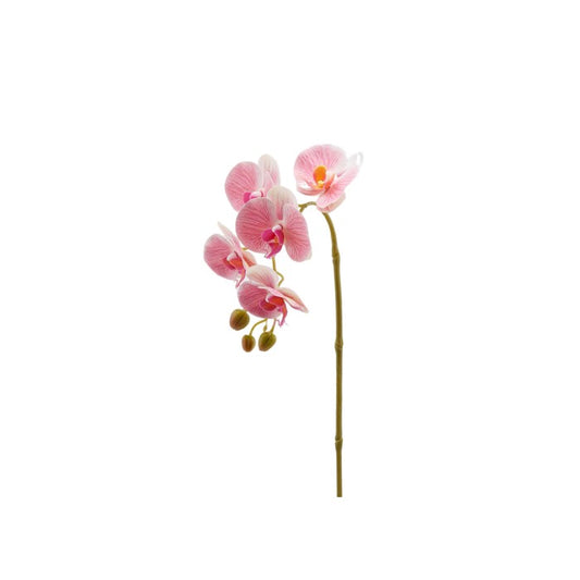 Ramo di orchidea artificiale Olis 3D 5 fiori 70 cm - EDG - 34259963019480