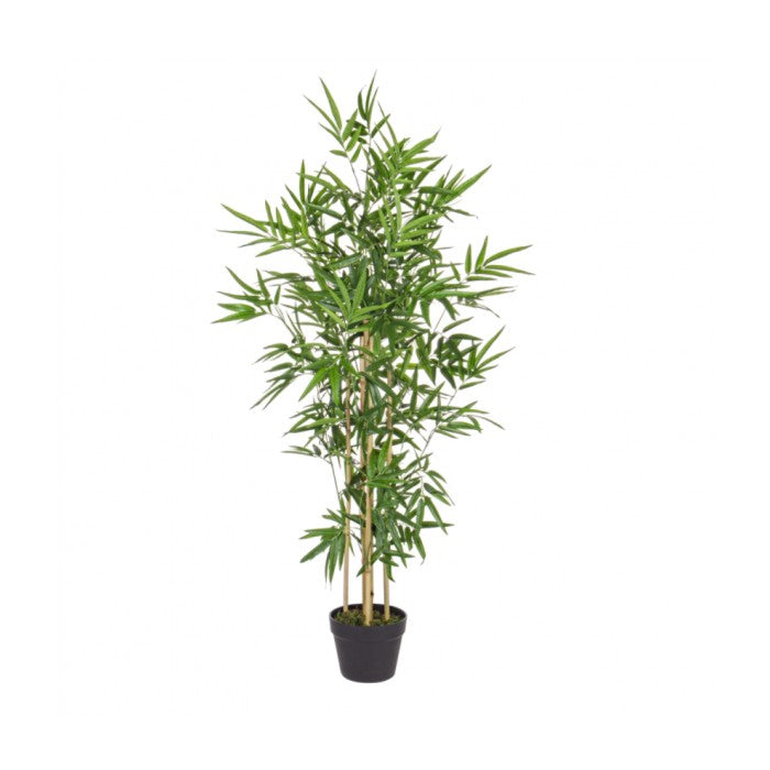 Pianta artificiale per decorazione con vaso - Bamboo - BIZZOTTO - 34269312188632