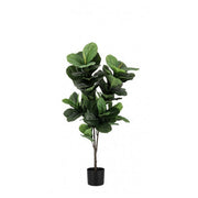 Pianca artificiale per decorazione con vaso 120 cm - Figus Lyrata