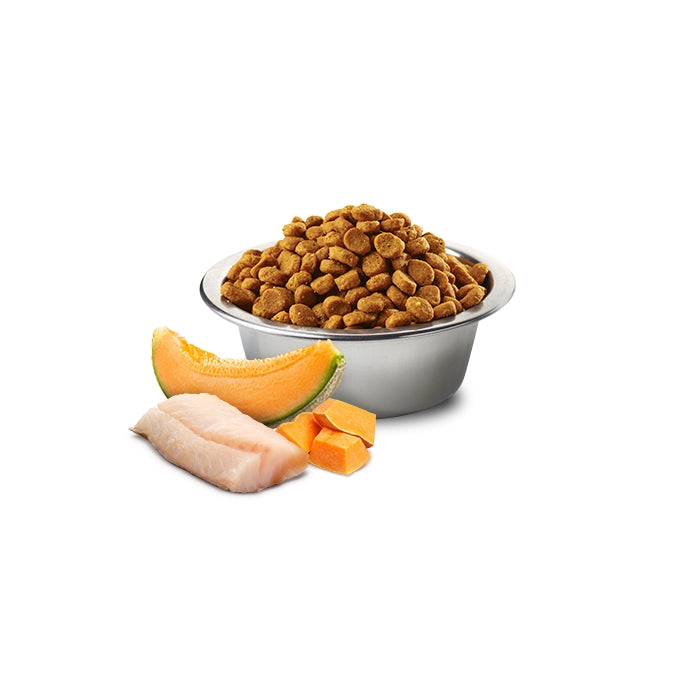 N&D Ocean Dog Merluzzo, zucca e cantalupo Puppy Medium Maxi - FARMINA - 64826477117818