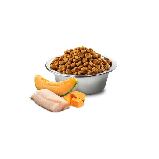 N&D Ocean Dog Merluzzo, zucca e cantalupo Puppy Medium Maxi - FARMINA - 64826477117818