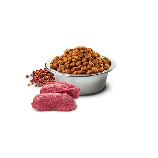 N&D Quinoa Dog Skin&Coat Cervo, quinoa e cocco Adult Mini - FARMINA - 64826535346554