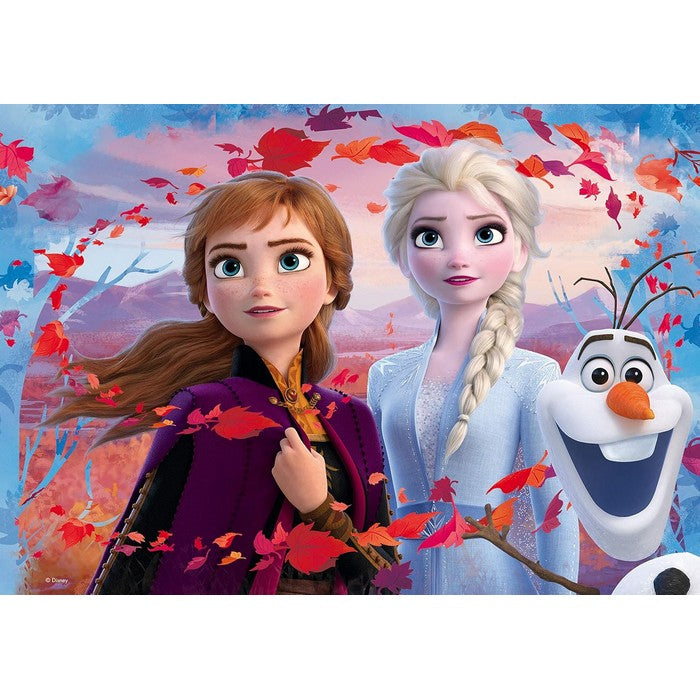 Disney Frozen Maxi Floor double face 60 pezzi